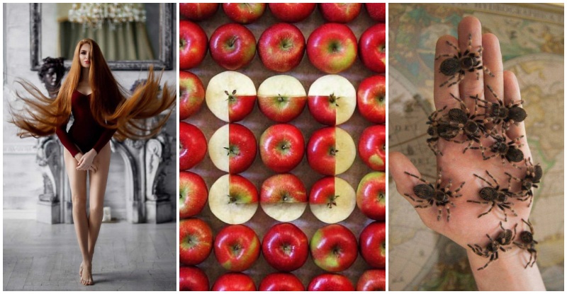 30+ Obrázkov, ktorými dokonale zabiješ čas #58