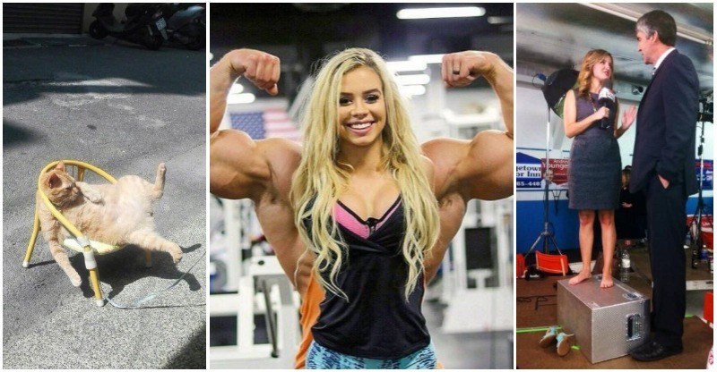 30+ Obrázkov, ktorými dokonale zabiješ čas #63