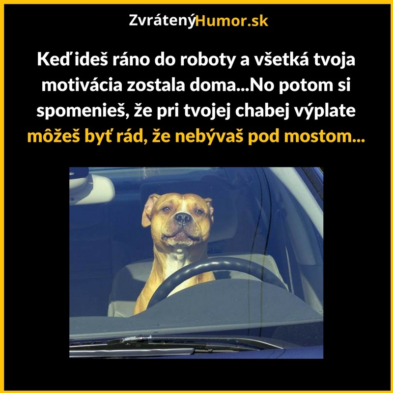 Ou maj gád!