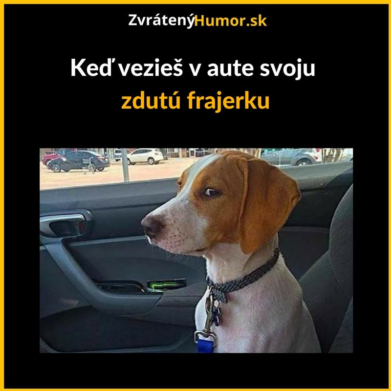 Pohľad vraha