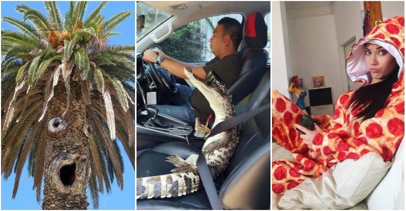 30+ Obrázkov, ktorými dokonale zabiješ čas #70