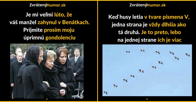 Zopár memečiek, ktoré vznikli aby ti spríjemnili dnešný deň #249