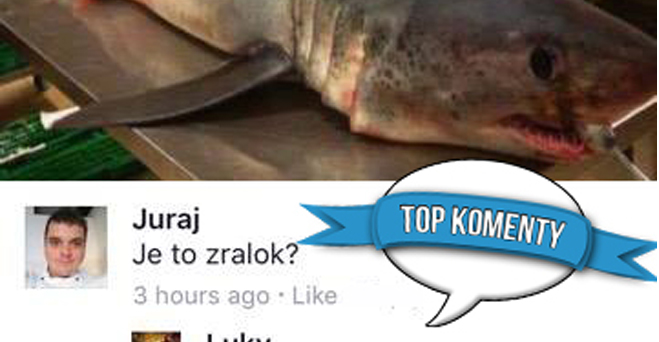 3 komenty na večer (č.185)