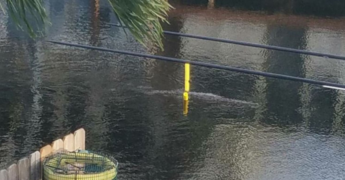 Tento krokodíl vám ukáže, že aj na obyčajné veci niekto potrebuje pomoc.