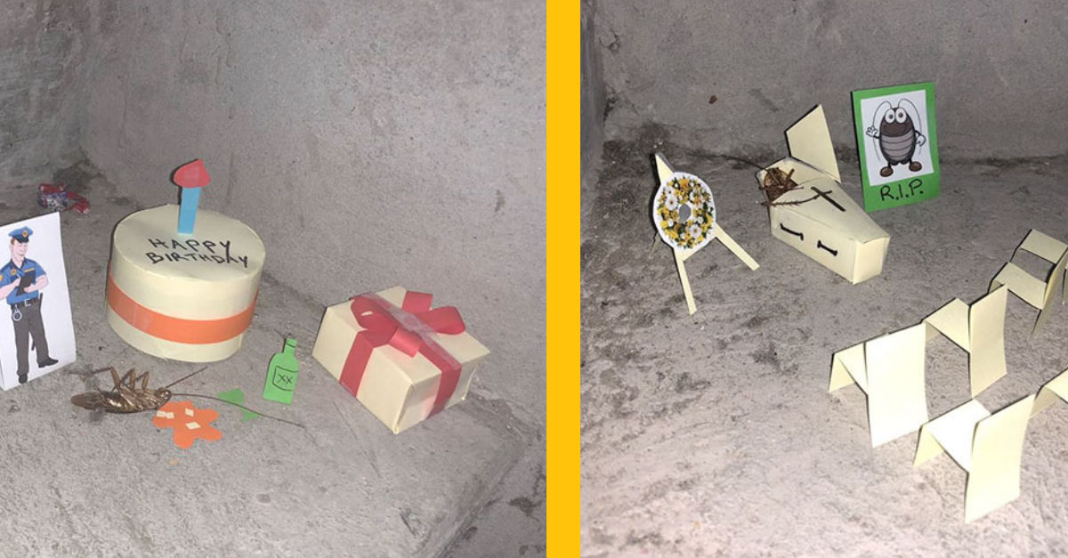 Silný príbeh mŕtveho švába zo schodov, príbeh je lepší a lepší každým obrázkom