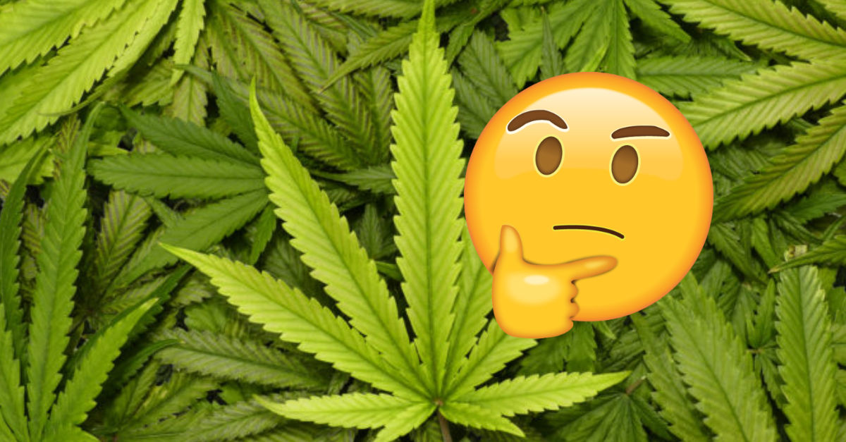 Muž vypil 2 litre vodky a fajčil marihuanu od rána, polícia ho našla nahého v horiacom dome