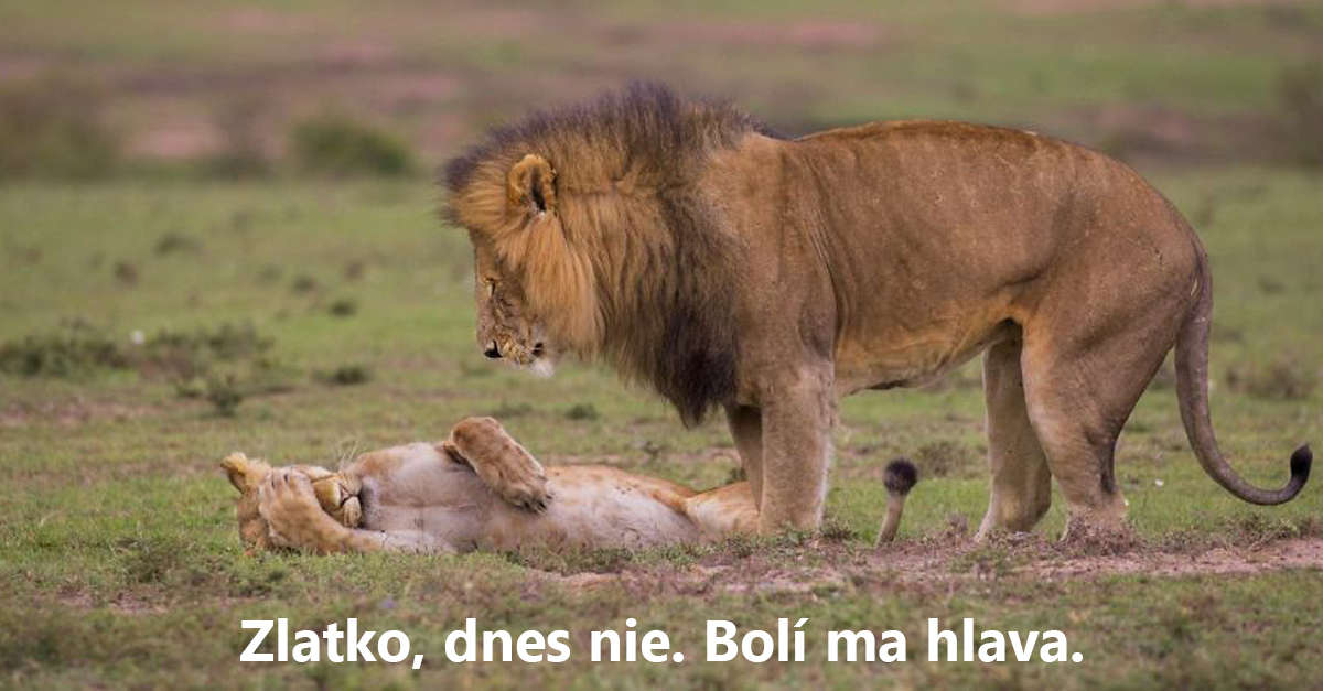 20 najzábavnejších obrázkov z prírody, ktoré ti vykúzlia úsmev na tvári