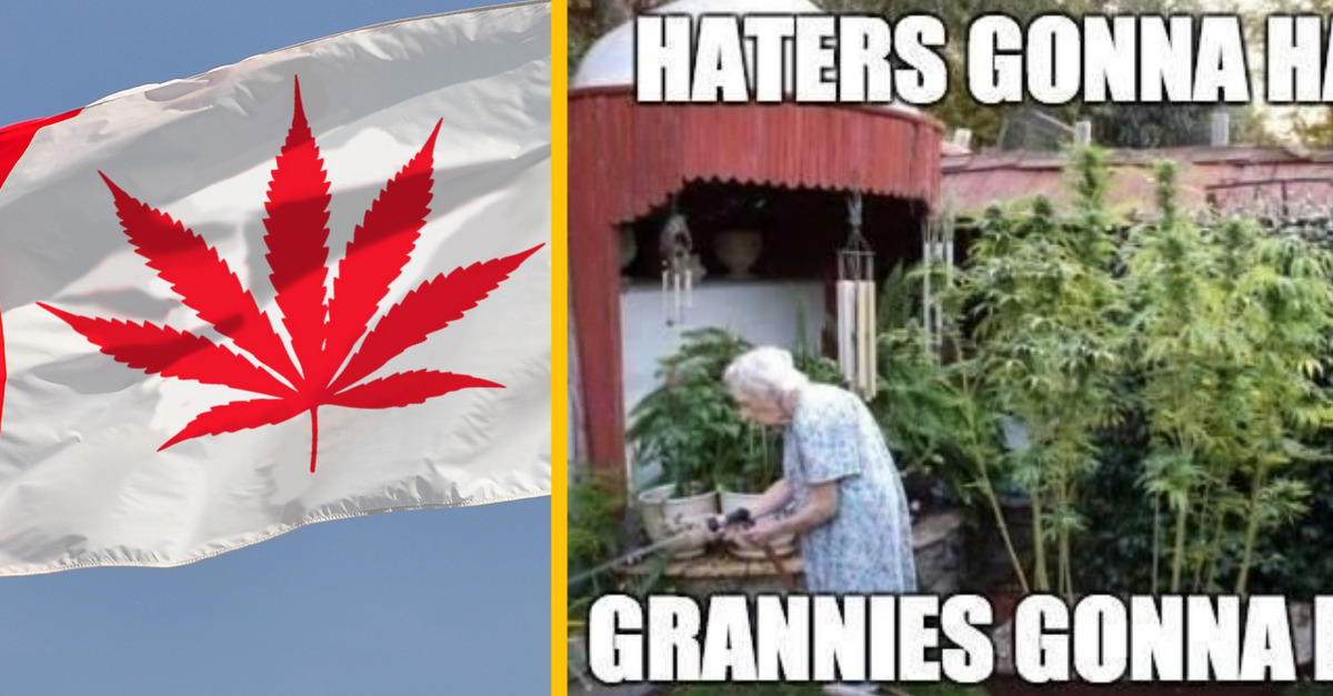Kanada legalizovala Marihuanu a svet jej vzdáva hold – teraz ten list na vlajke dáva väčší zmysel