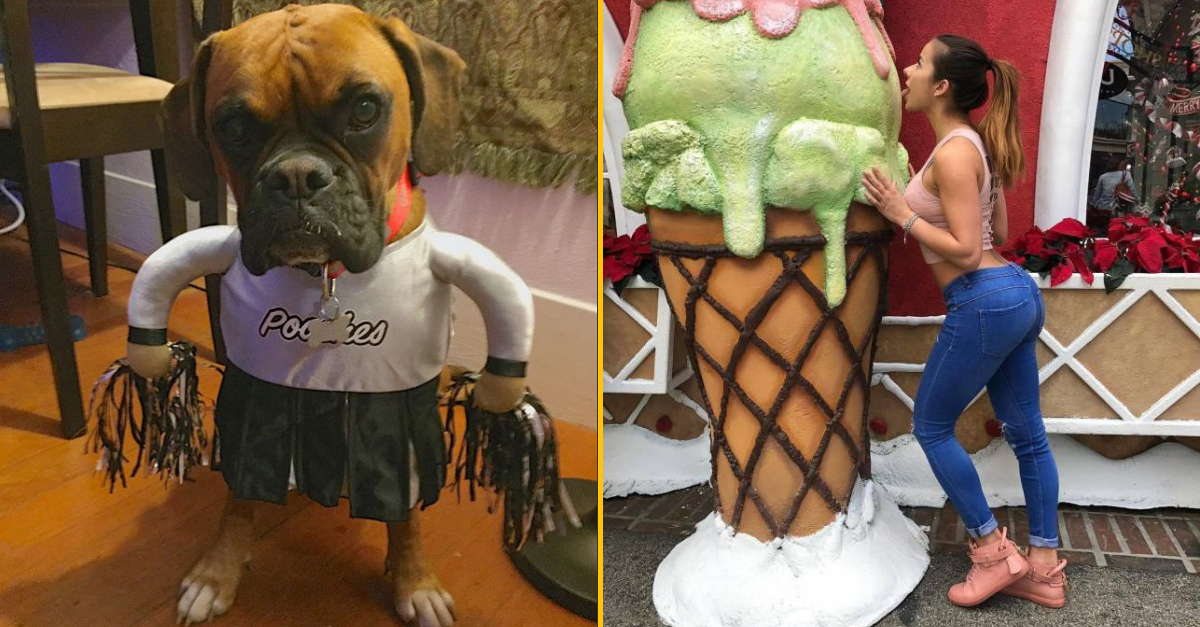 30+ Obrázkov, ktorými dokonale zabiješ čas #96