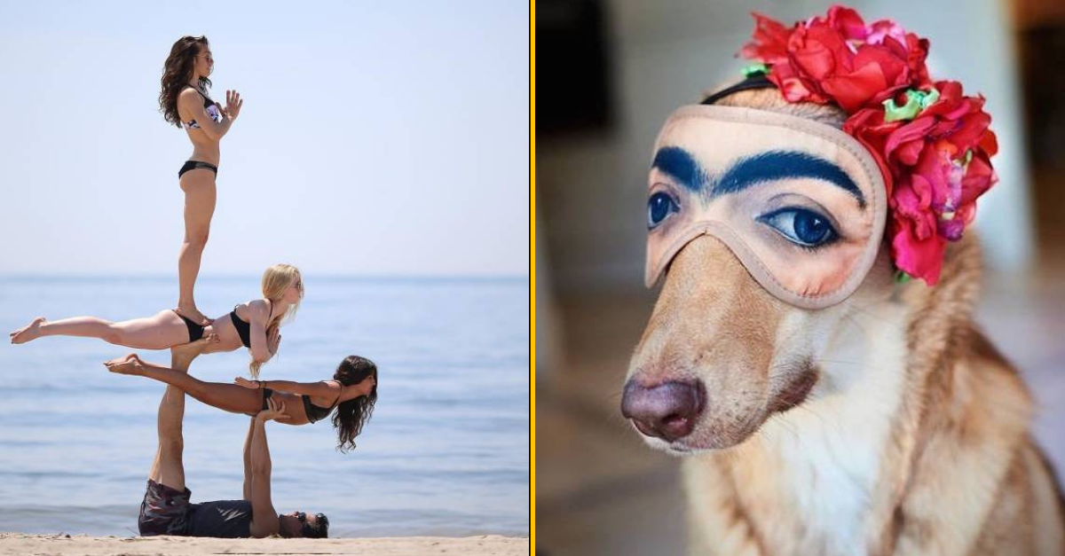 30+ Obrázkov, ktorými dokonale zabiješ čas #97