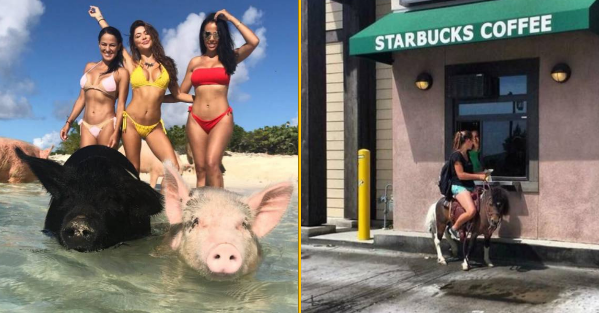 30+ Obrázkov, ktorými dokonale zabiješ čas #100