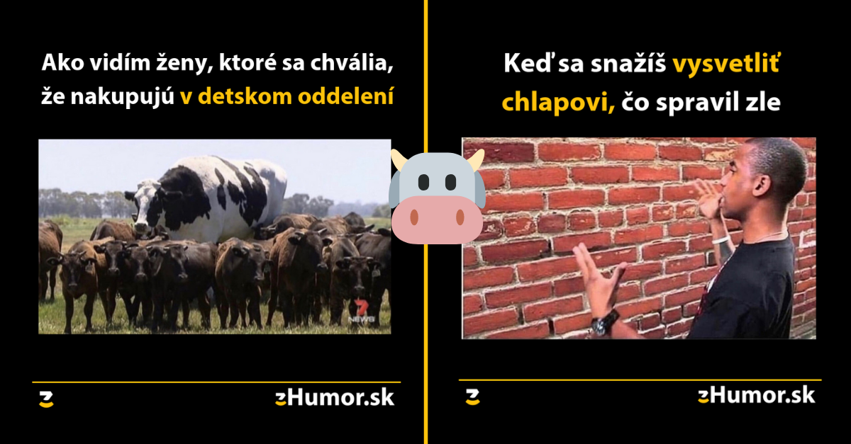 Pozor, ženská meme zóna- alebo memes, ktoré vznikli (nie)len pre ženy #44