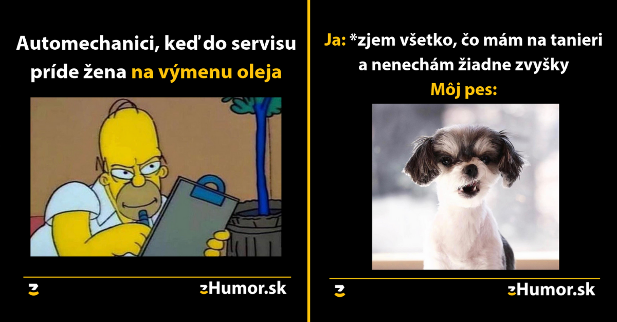 Zopár memečiek, ktoré vznikli aby ti spríjemnili dnešný deň #486