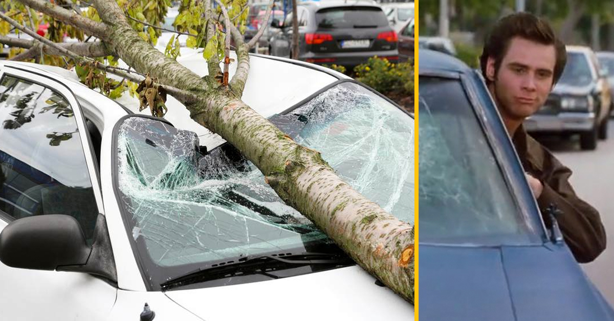 Muž narazil s autom do stromu po tom, čo šoféroval s hlavou vystrčenou z okienka – nefungovali mu vraj strierače