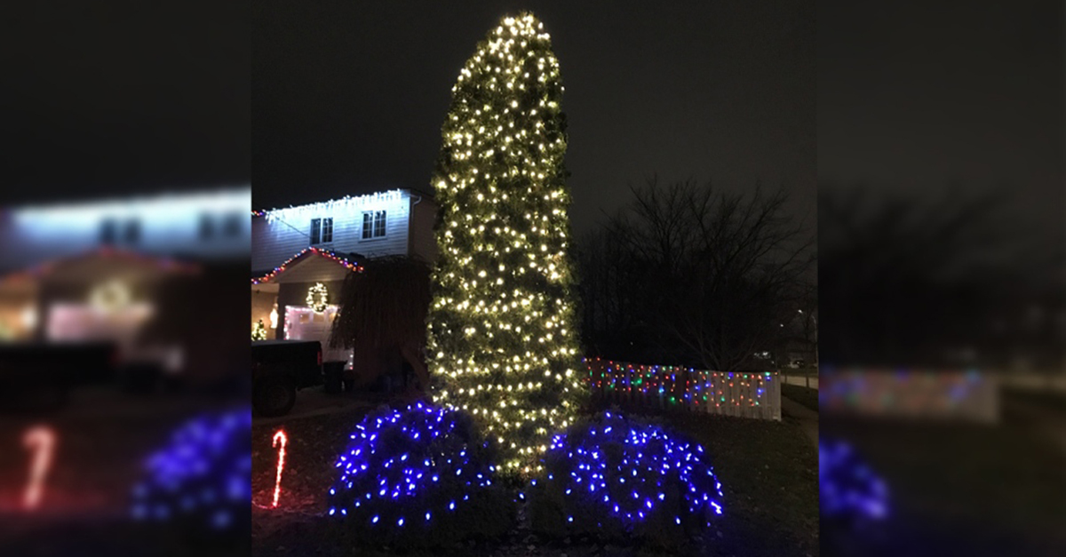 Rodinka má na dvore netradičnú vianočnú ozdobu – strom a kríky pokryté svetielkami v tvare mužského údu