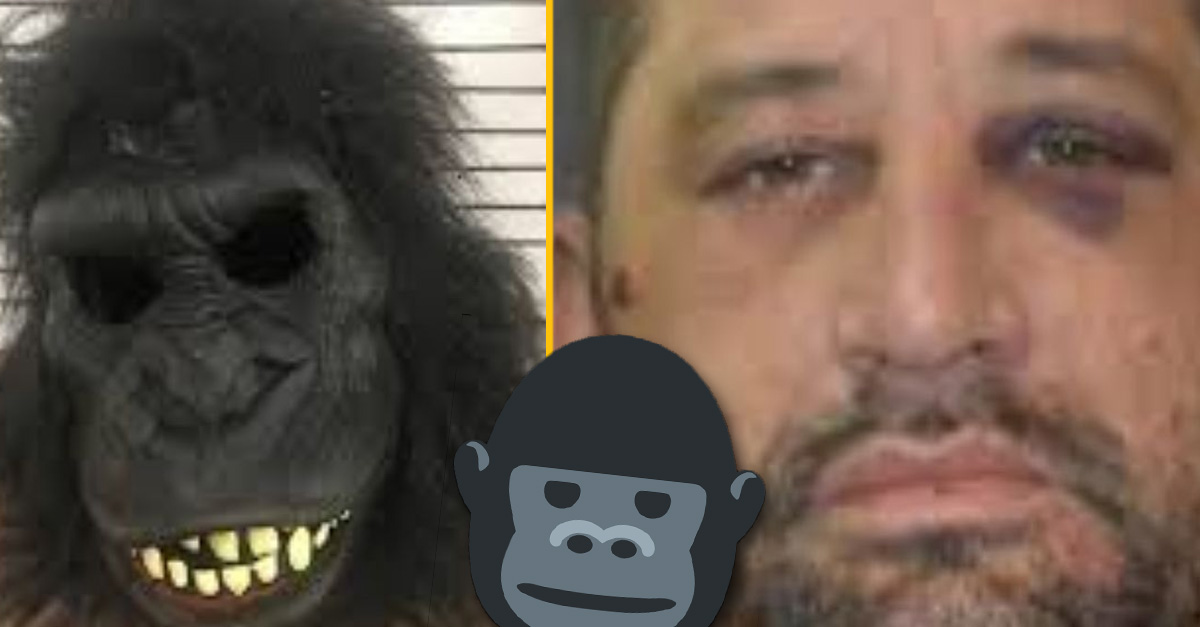 Muž nakukoval ľuďom do okien so strašidelným oblekom gorily, hrozí mu väzenie