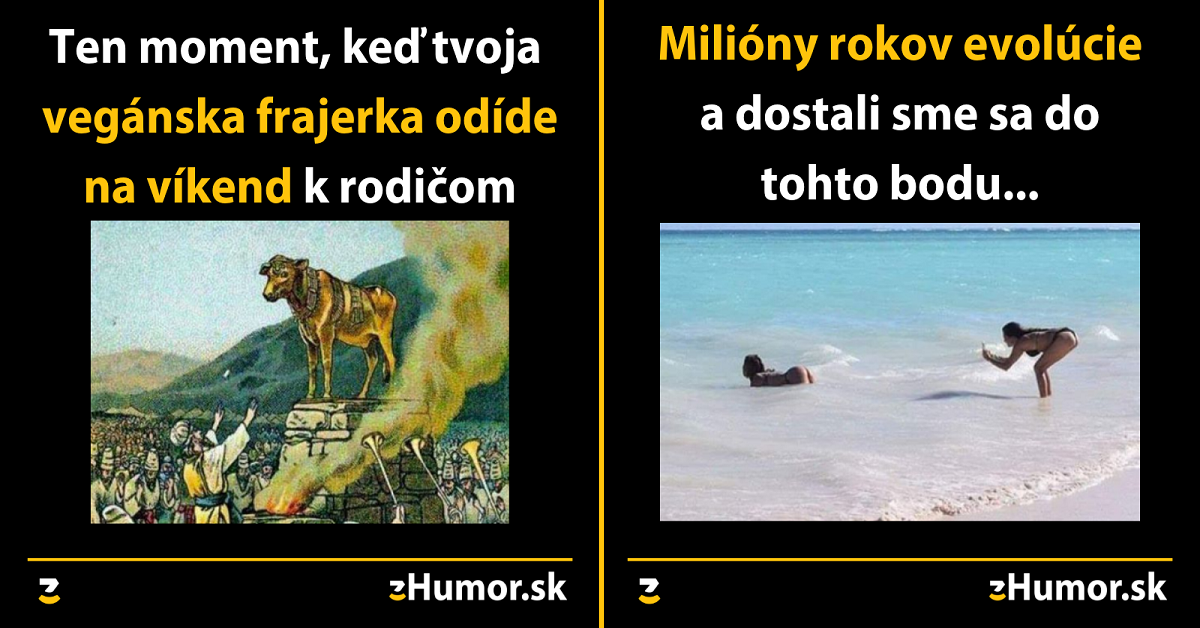 Zopár memečiek, ktoré vznikli aby ti spríjemnili dnešný deň #578