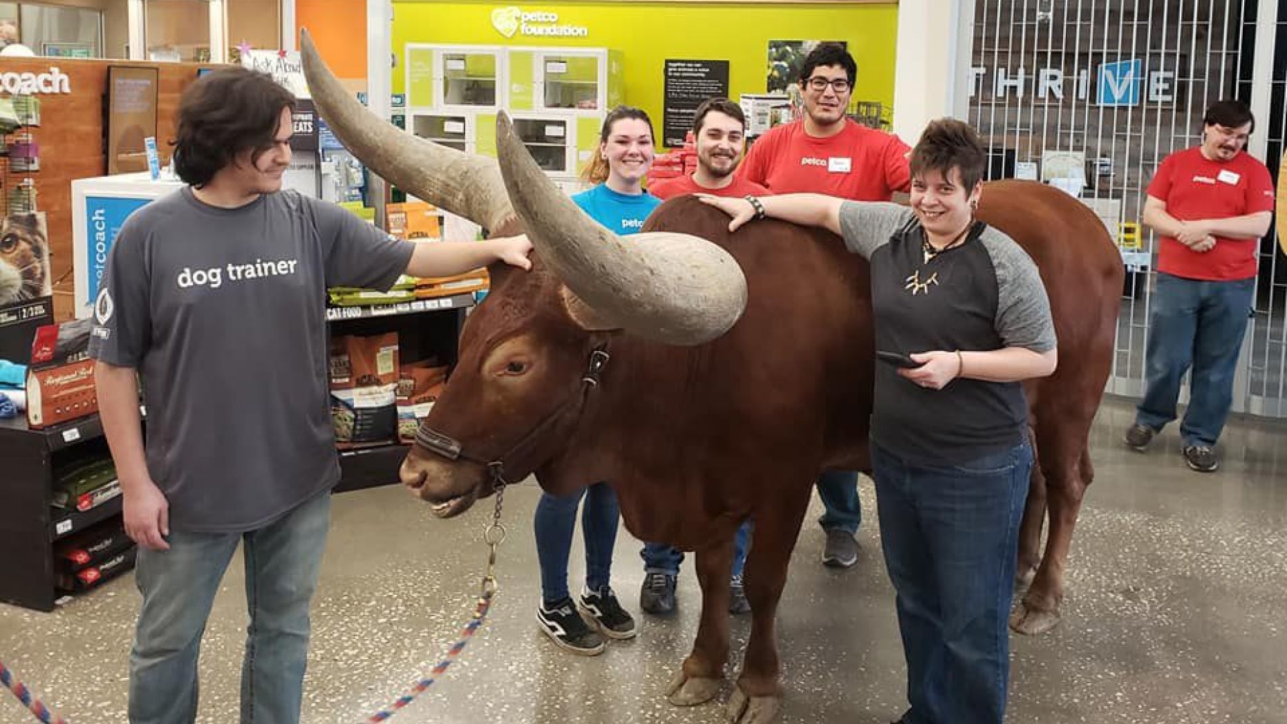 Muž z Texasu priniesol do obchodu vola, aby otestoval pravidlo „každé zviera je u nás vítané“