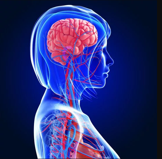 Muž obrábal svojej partnerke intímne partie takým spôsobom, až jej privodil mŕtvicu