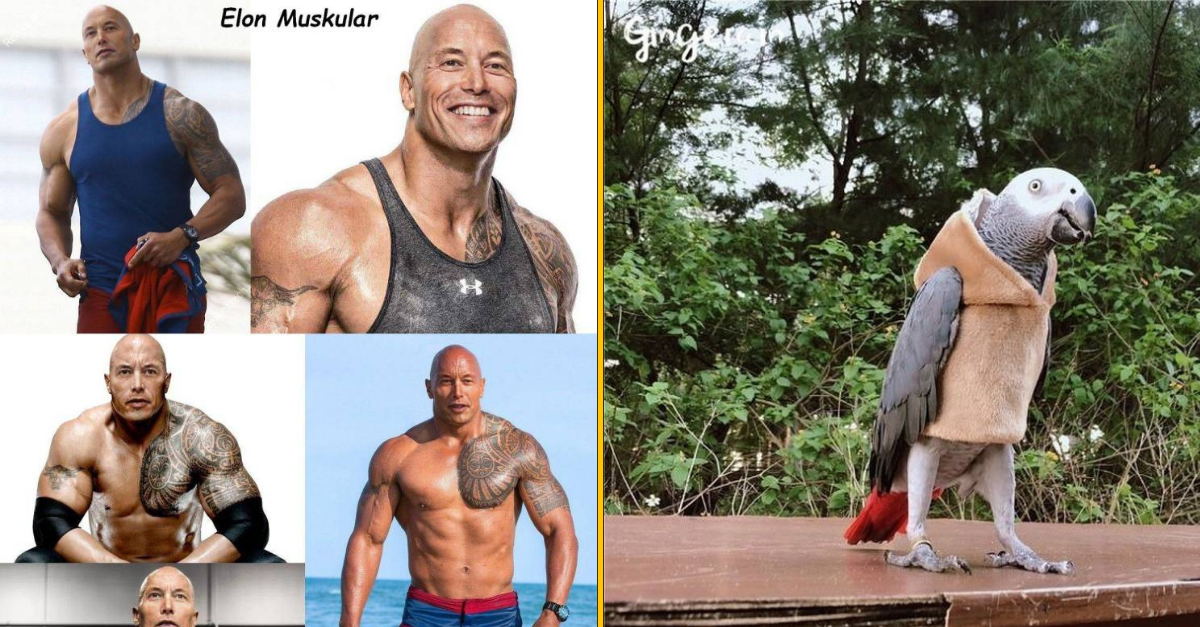 30+ Obrázkov, ktorými dokonale zabiješ čas #111