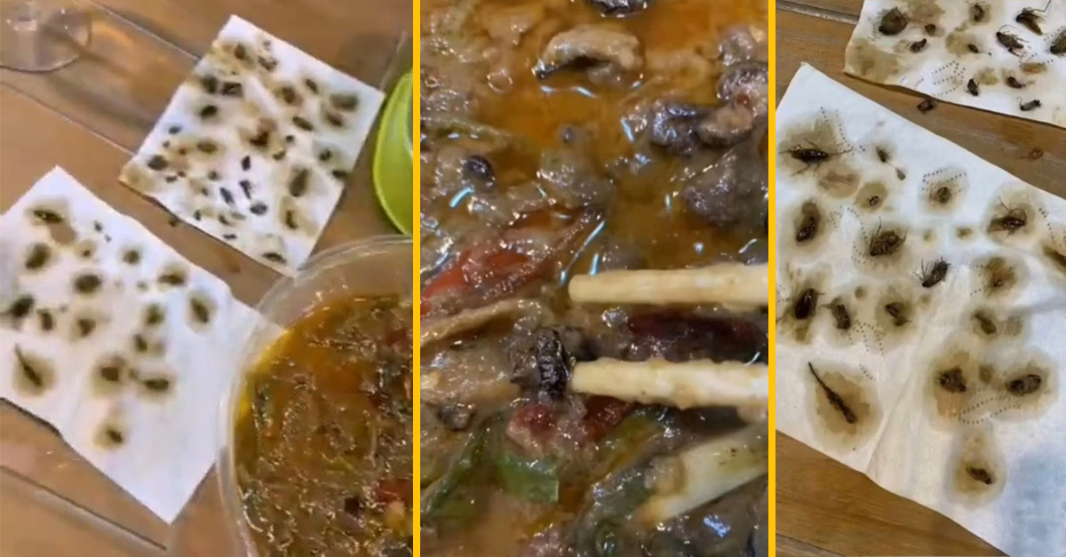 Žena našla v donáškovom jedle 40 švábov