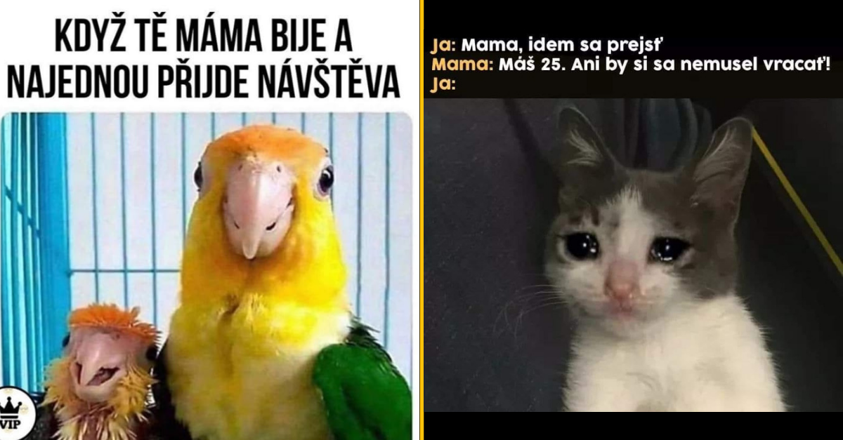 20+ Obrázkov: Všetko vtipné z internetu! #125