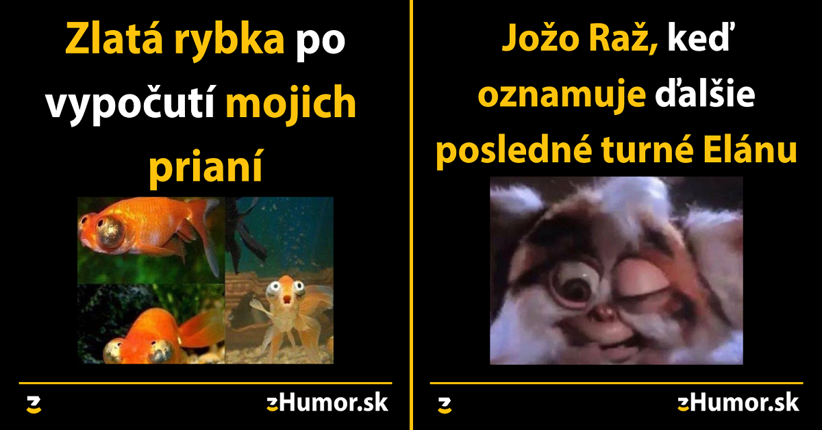 Zopár memečiek, ktoré vznikli aby ti spríjemnili dnešný deň #605