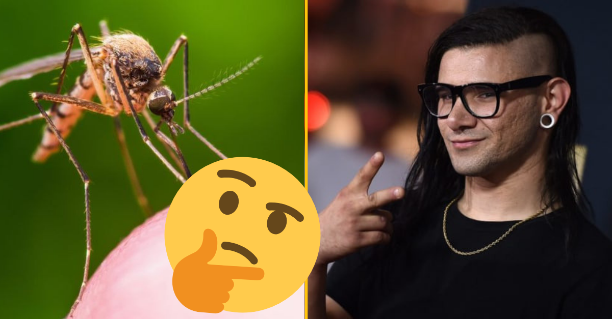 Vedecká štúdia zistila, že „Scary Monsters and Nice Spristes“ od Skrillexa odradzuje komáre od párenia