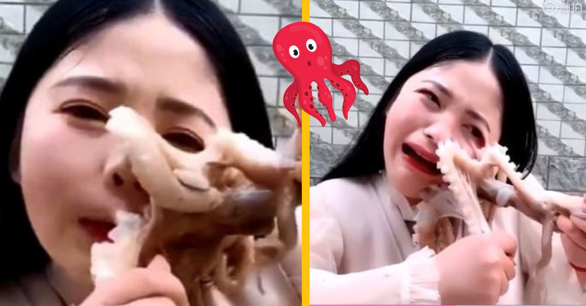 VIDEO: Vlogerke sa v live vysielaní pricucla chobotnica na tvár počas toho, ako sa ju snažila zjesť zaživa