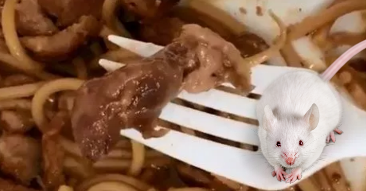 VIDEO: Žena ostala znechutená potom, ako našla v donáškovom jedle malú mŕtvu myš