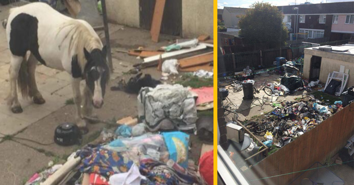 Susedia usporiadali veľkú oslavu potom, ako sa z ich ulice odsťahovala „nájomníčka z pekiel“