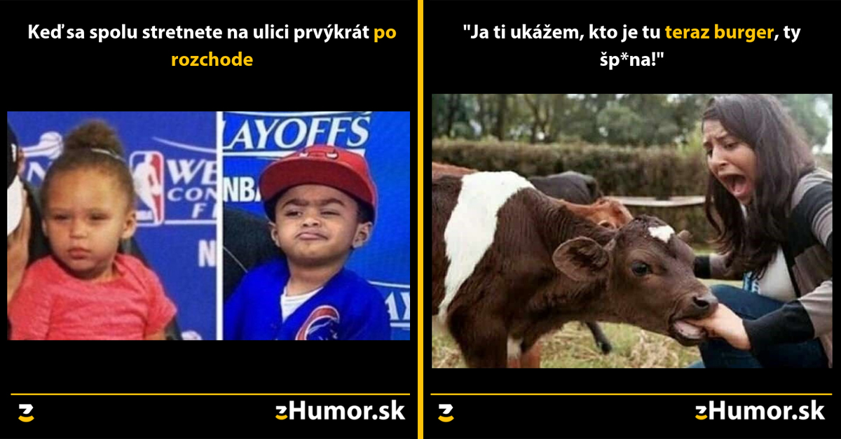 Zopár memečiek, ktoré vznikli aby ti spríjemnili dnešný deň #635