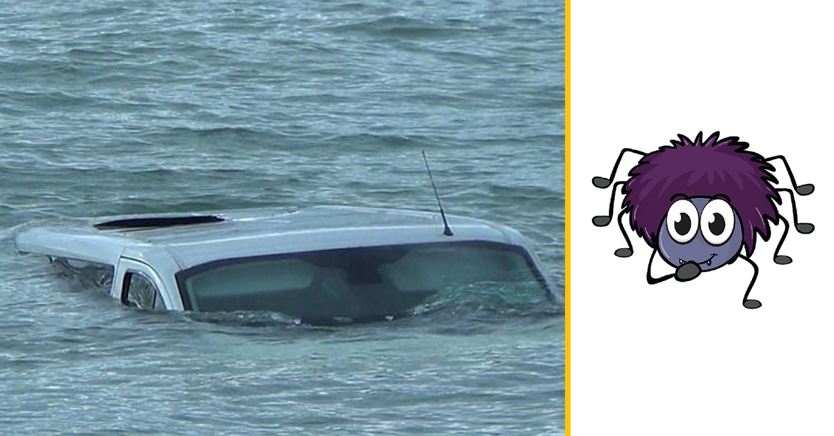 Žena vyskočila z idúceho auta, pretože sa zľakla pavúka – auto sa navyše utopilo v rieke