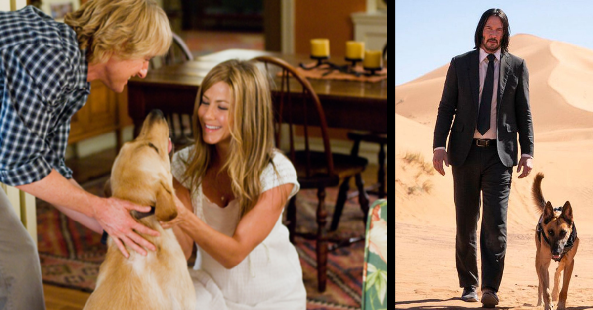 Webová stránka vás varuje, či náhodou vo filme nezomrie pes, mačka alebo iné zviera