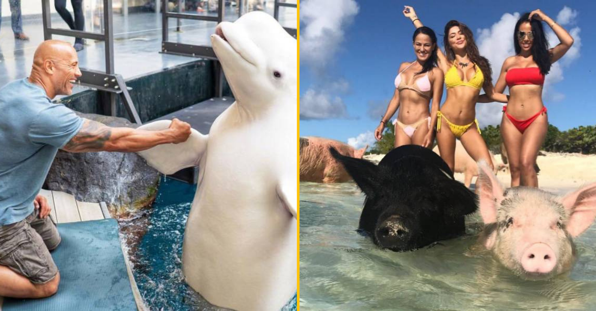 30+ Obrázkov, ktorými dokonale zabiješ čas #121