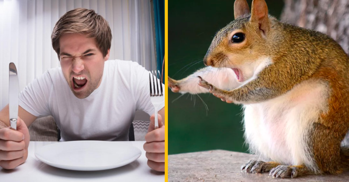 Dvaja muži jedli na protest surové veveričky pred vegánskym stánkom