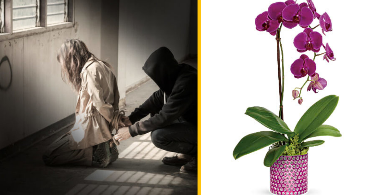 Únosca pustil rakúsku atlétku potom ako mu pochválila orchidey