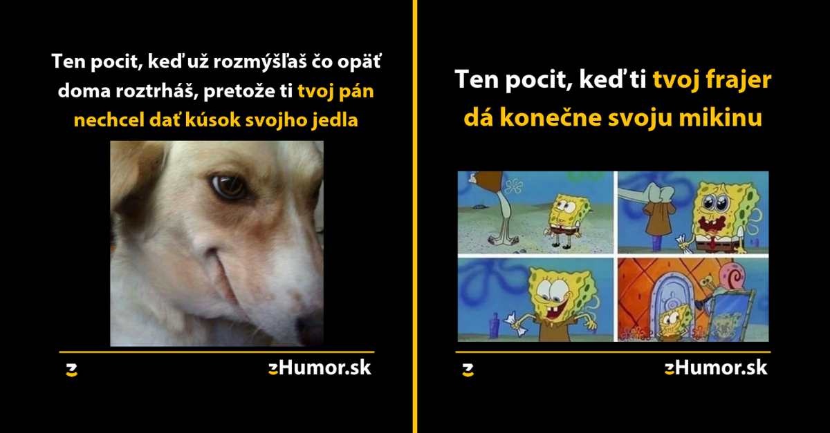 Zopár memečiek, ktoré vznikli aby ti spríjemnili dnešný deň #666