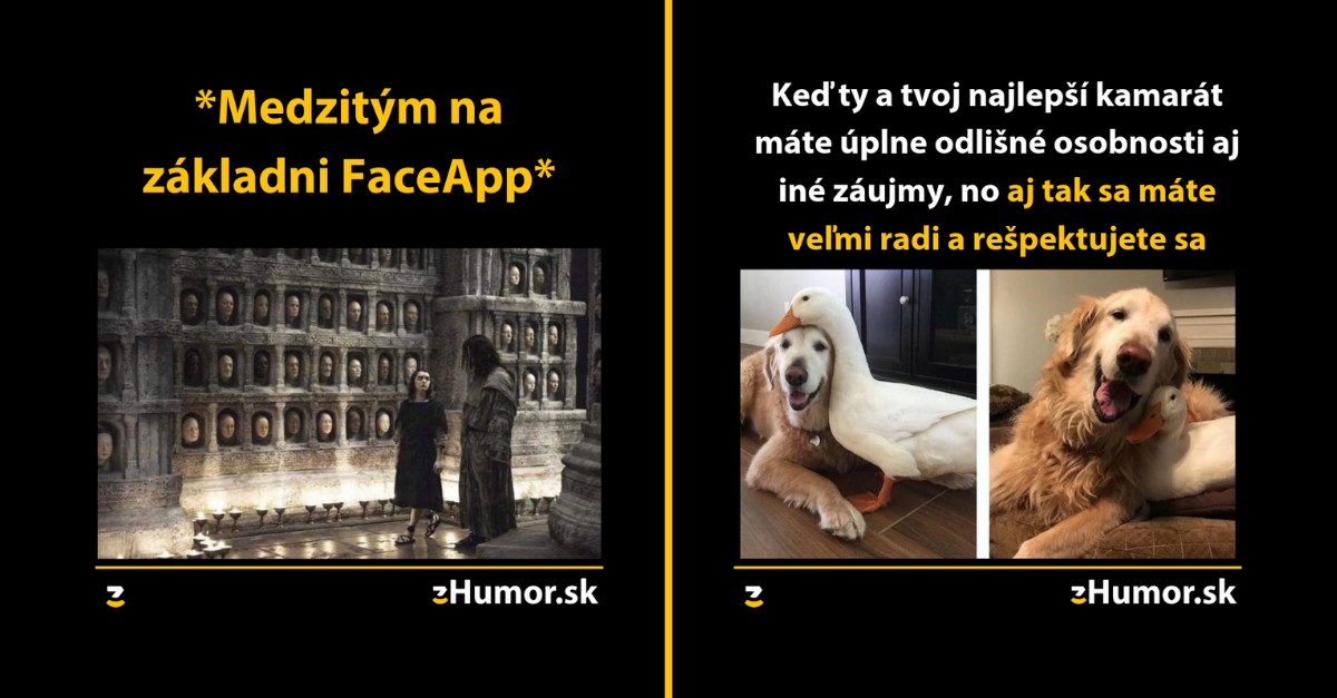 Zopár memečiek, ktoré vznikli aby ti spríjemnili dnešný deň #659