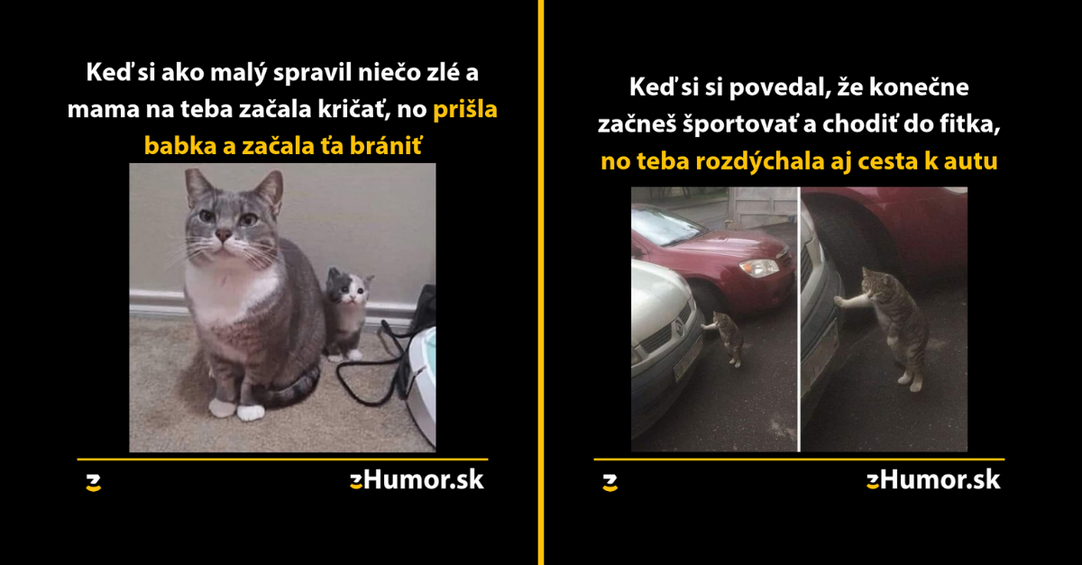 Zopár memečiek, ktoré vznikli aby ti spríjemnili dnešný deň #655