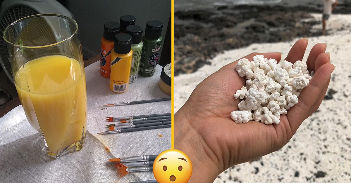 15 prípadov, kedy náhodné nejedlé veci vyzerali ako chutné jedlo