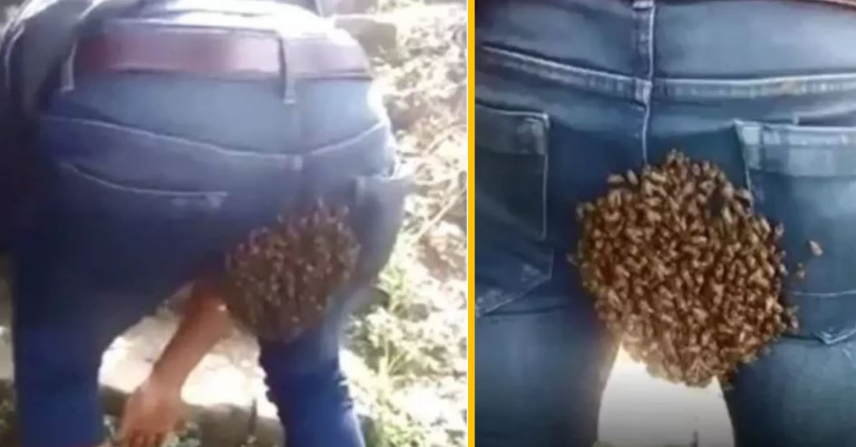 Mužovi sa usadil obrovský roj včiel priamo na zadku