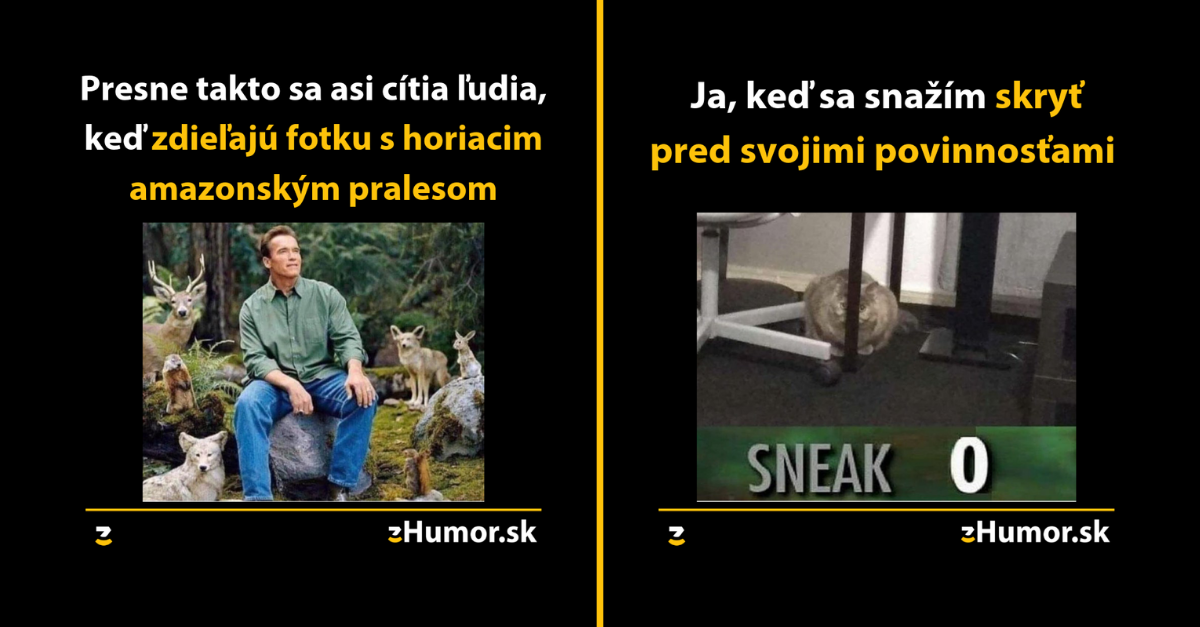 Zopár memečiek, ktoré vznikli aby ti spríjemnili dnešný deň #697
