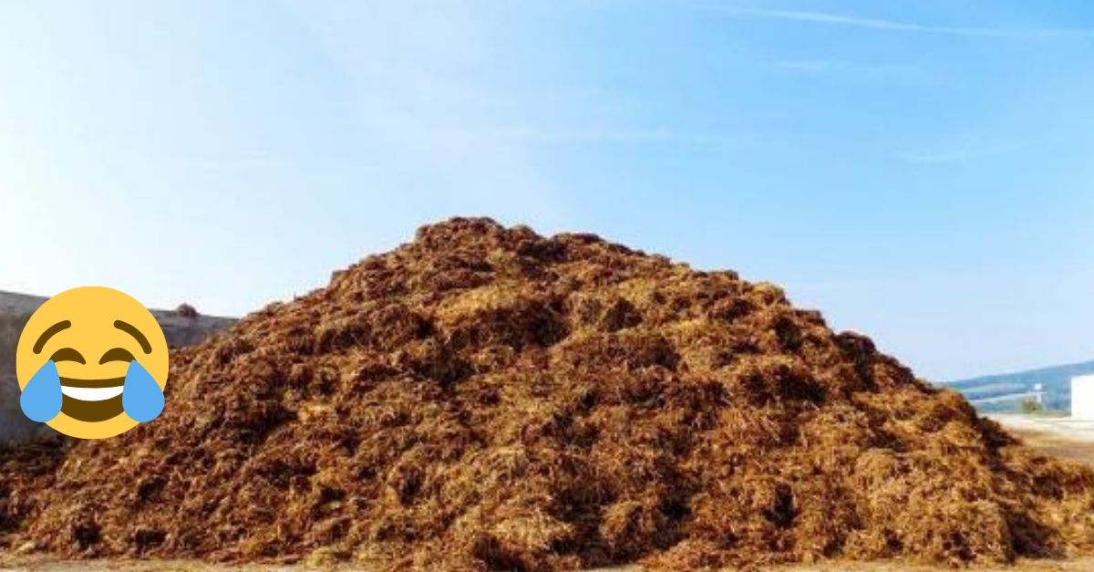 Muža zatkli za to, že sa snažil vysypať 8 ton hnoja pred dvere politikov