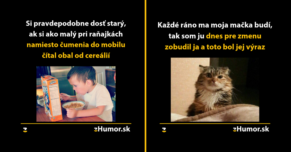 Zopár memečiek, ktoré vznikli aby ti spríjemnili dnešný deň #705