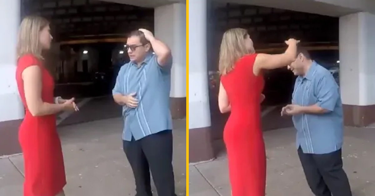 Politika osr*l holub počas interview o problémoch s holubmi, ktorí osierajú ľudí