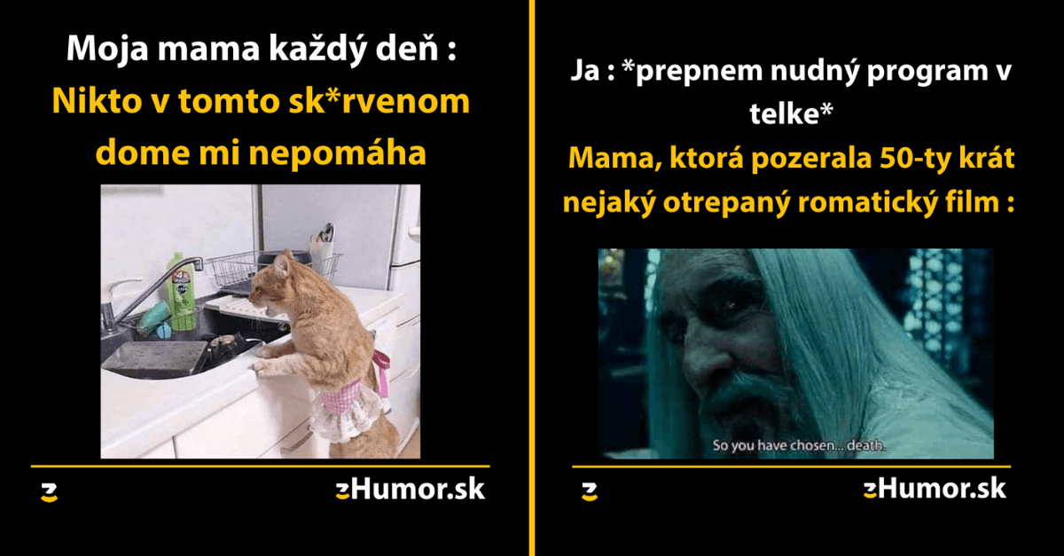 O tom, že s našimi matkami to je niekedy ťažké ale dozvieš sa aj to, čo robia psy samé doma – Toto je tvoja denná dávka memes #728