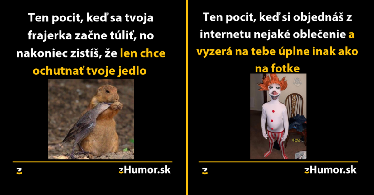 O tom, že aj úplne maličkosti dokážu pokaziť fotku ale aj o možno novom druhu pavúka – Toto je tvoja denná memes #717