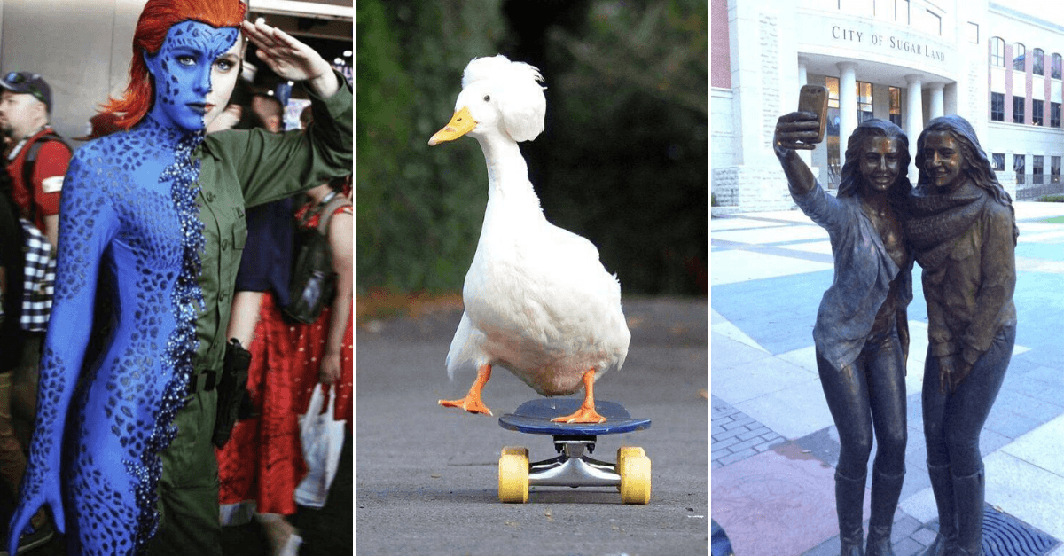 30+ Obrázkov, ktorými dokonale zabiješ čas #131