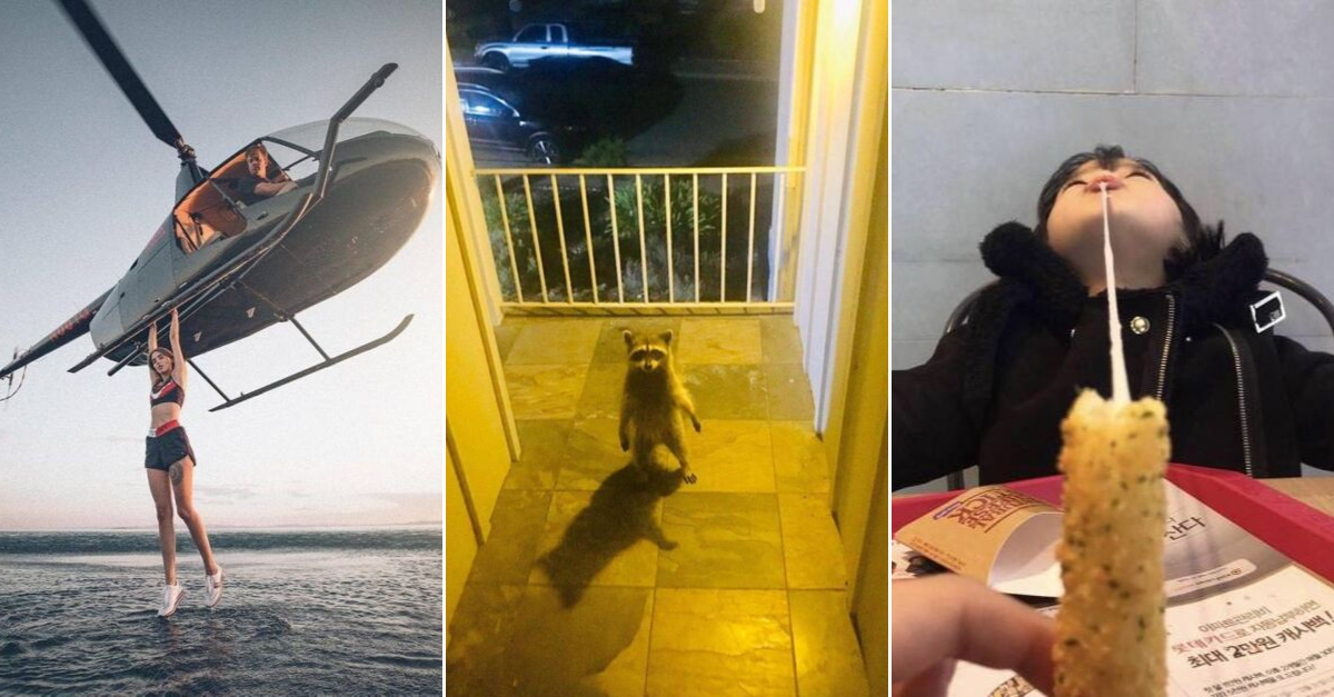 30+ Obrázkov, ktorými dokonale zabiješ čas #127